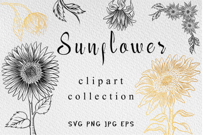 Sunflower clipart collection