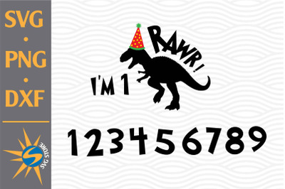 RAWR Birthday SVG, PNG, DXF Digital Files Include