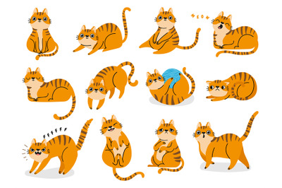 Cat poses. Cartoon red fat striped cats emotions and behavior. Animal