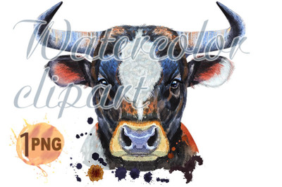 Watercolor illustration of black bull with white spot