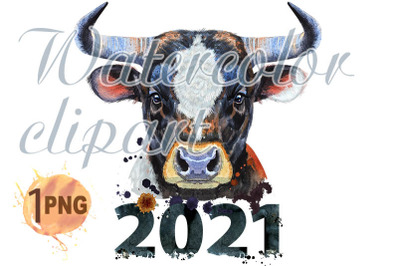 Watercolor illustration of a bull  with number 2021