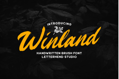 Winland - Brush Font