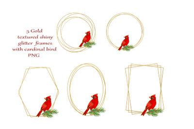 Gold shiny glitter frames with cardinal bird PNG Clipart