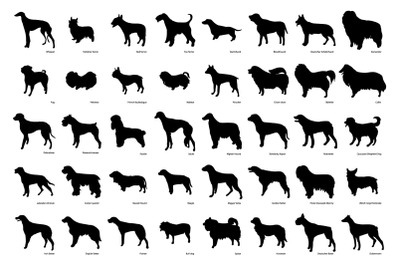 Dog breeds silhouette illustrations
