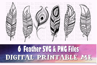 Feather Illustration SVG Bundle&2C; 6 Silhouette PNG&2C; bird quill&2C; Clip Ar