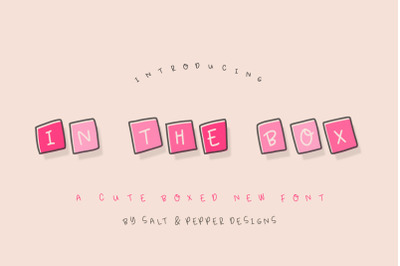 In the Box Font Family (Kooky Fonts, Quirky Fonts)