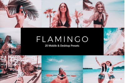 20 Flamingo Lightroom Presets &amp; LUTs