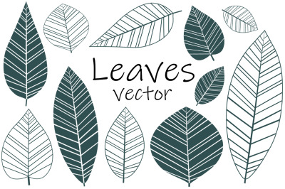 Leaves collection. Leaves vector. Leaves SVG.