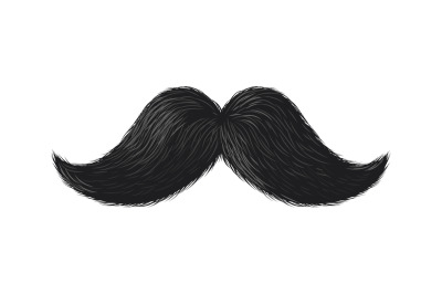 Black moustache. Cute curly simple mustache, hipster barbershop fashio