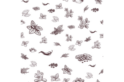 Herbs and spices seamless pattern. Hand drawn ginger, chilli and black