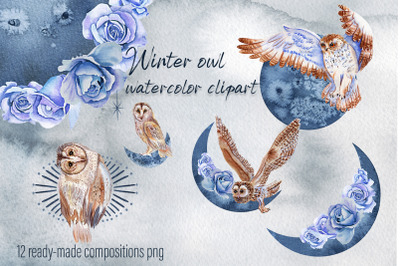 Winter birds - owl. Watercolor set