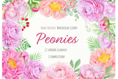 Pink peony watercolor clipart. Hand painted peonies flowers