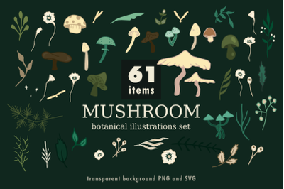 Mushroom botanical illustrations set.
