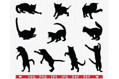 SVG Cats, Black Silhouettes, Digital clipart