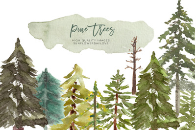 Watercolor Pine Tree Clipart&2C; Fir Evergreen tree clipart