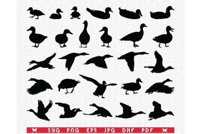 SVG Ducks Duckling, Black silhouettes, Digital clipart