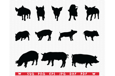 SVG Pigs Piggy Sow, Black silhouettes, Digital clipart