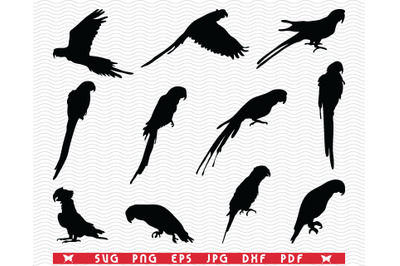 SVG Parrots&2C; Ara&2C; Black silhouettes&2C; Digital clipart