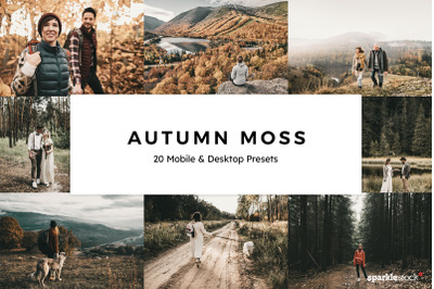 20  Autumn Moss LR Presets