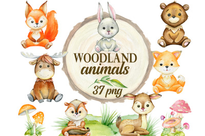 Woodland animals clipart, watercolor forest animals, nursery decoratio