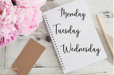Lettered Stickers, Days Of The Week Stickers, Bullet Journals Planners