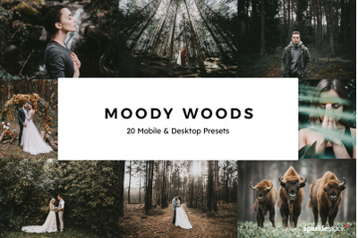 20  Moody Woods LR Presets