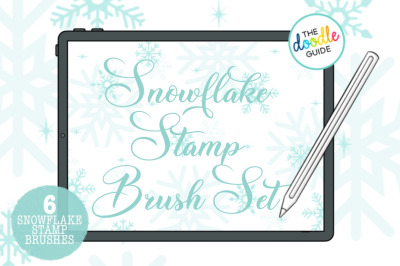 6 Snowflake  Stamp Brushes for Procreate