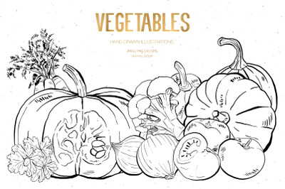 Hand Drawn Vegetables Illustrations