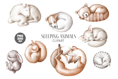 Cute sleeping animals clipart