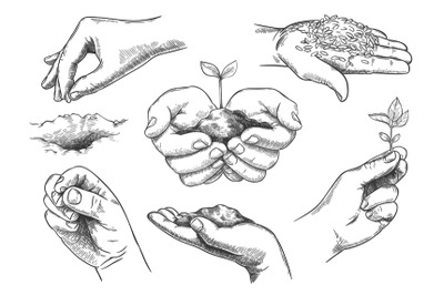 Hands with plant sprout. Farmer hand holding soil and planting seeds.