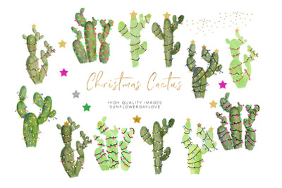 Cactus Christmas clipart&2C; Watercolor holiday clipart&2C; Green Natural