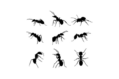 ant silhouette, simple vector illustration