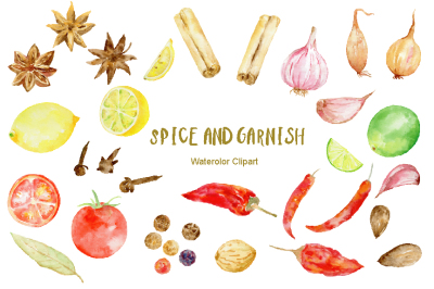 Watercolor Clipart Spice and Garnish