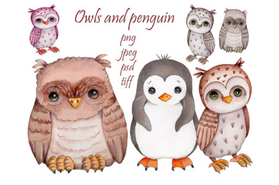 Owls and Penguin. Watercolor illustrations.