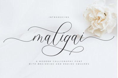 Maligai | Modern Calligraphy