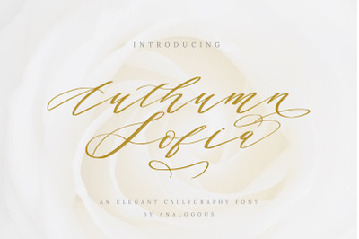 Authumn Sofia | Calligraphy Font