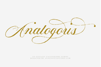Analogous | Elegant Calligraphy