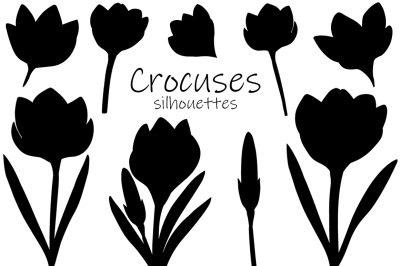 Crocuses silhouettes. Flowers silhouettes. Crocuses SVG