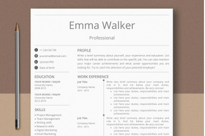 Modern Professional Resume Template Ms Word