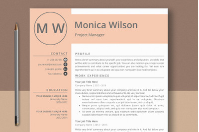 Clean Professional Resume without Photo
