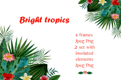 Bright tropics