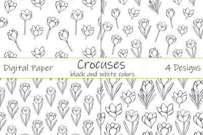 Crocuses pattern. Flowers pattern. Crocuses SVG. Flowers SVG