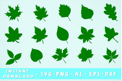 Leaves SVG Bundle - 15 Leaves