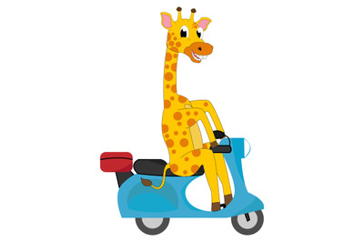 cute giraffe ride motorcycle