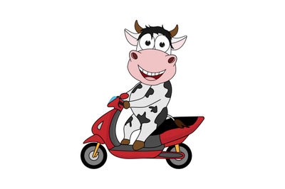 cute cow ride motorcycle