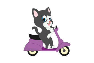 cute cat ride motorcycle