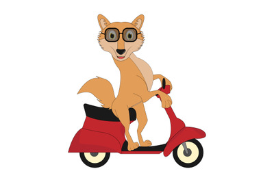 cute jackal ride motorcycle, simple vector illustration