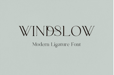 Windslow  Modern Ligature  Serif Font
