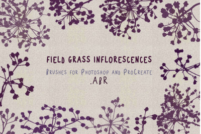 Field grass inflorescence brushes .ABR