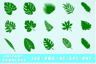 Tropical Leaves SVG Bundle - 15 Designs